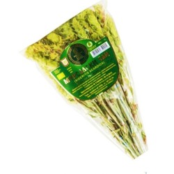 Gojnik Herbata Mursalska BIO 22g