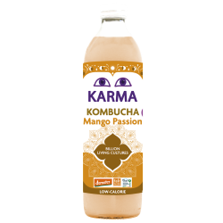 Kombucha z Mango BIO 500ml