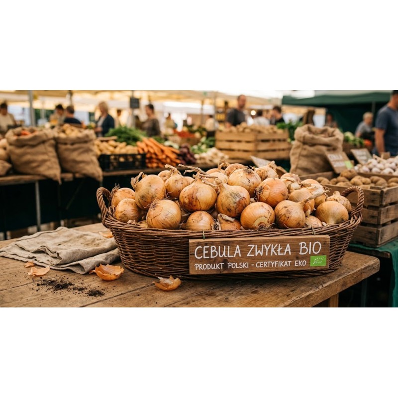 Cebula ekologiczna żółta 1kg - BIO