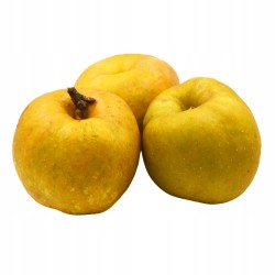Jabłko szara reneta ok. 1kg