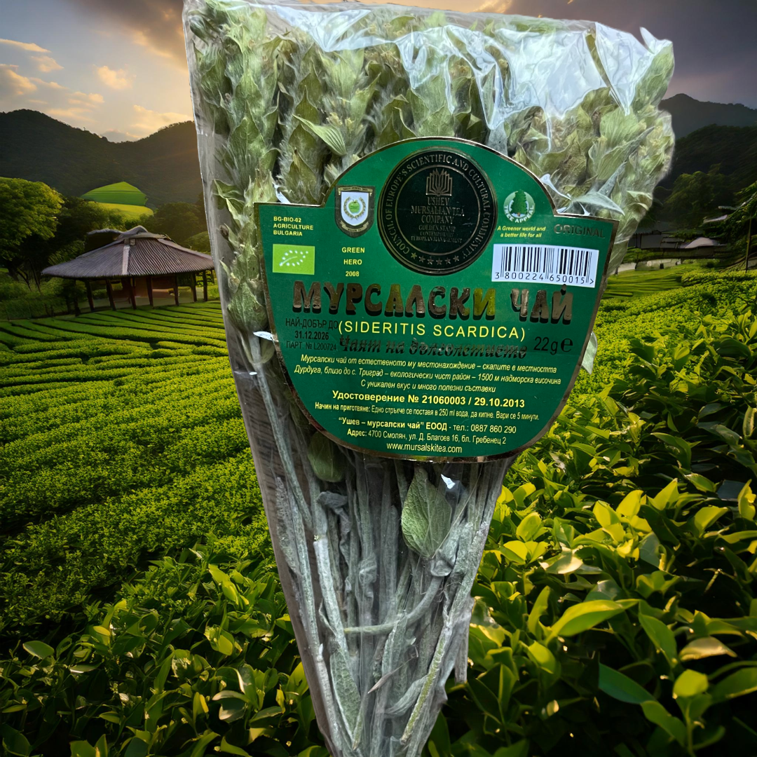 Odkryj herbatę mursalską BIO – unikalne zioło prosto z gór Bułgarii, znane jako „herbata długowieczności”!